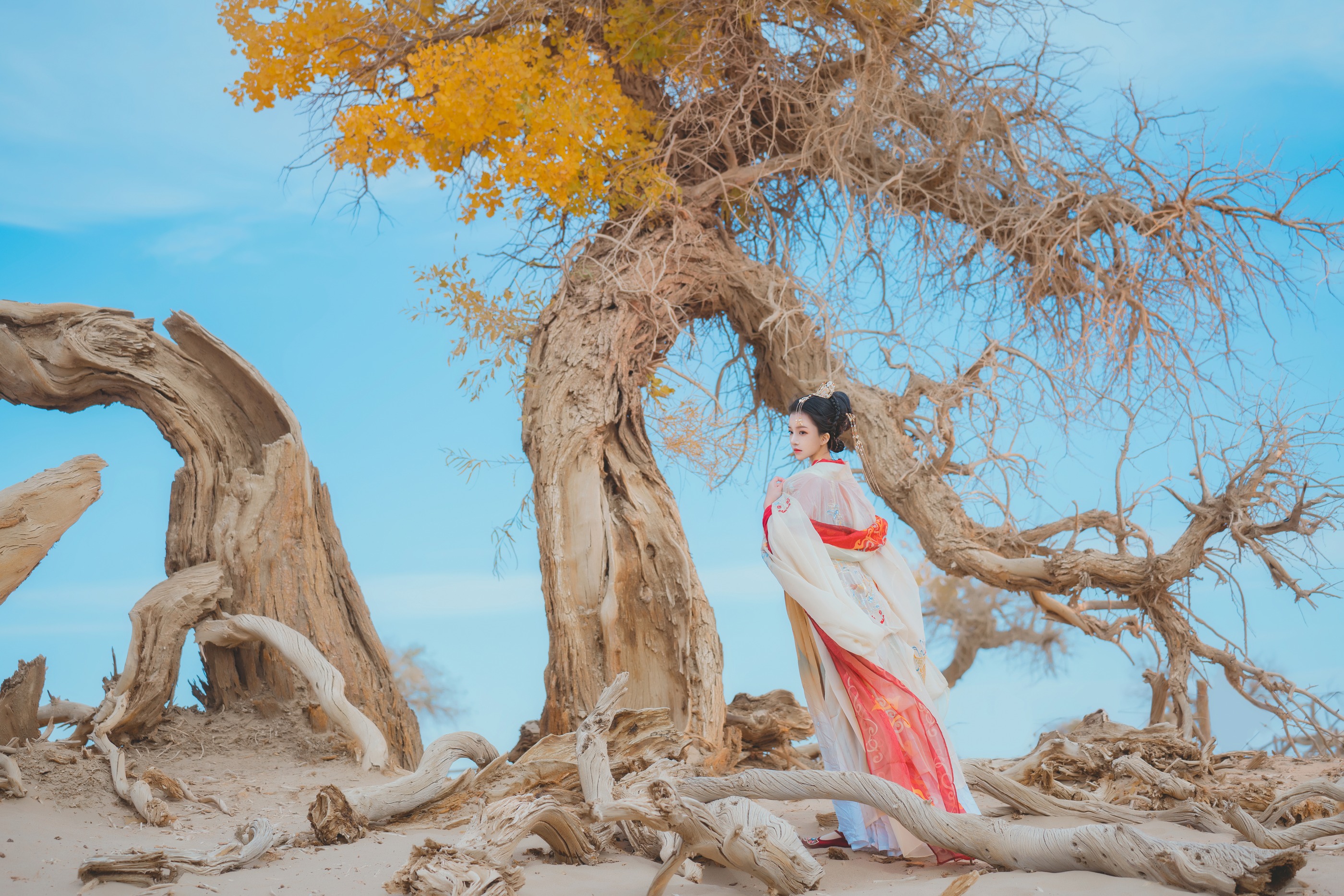 图片[1]-桜桃喵 – NO.214 惊鸿[15P]-XikXak